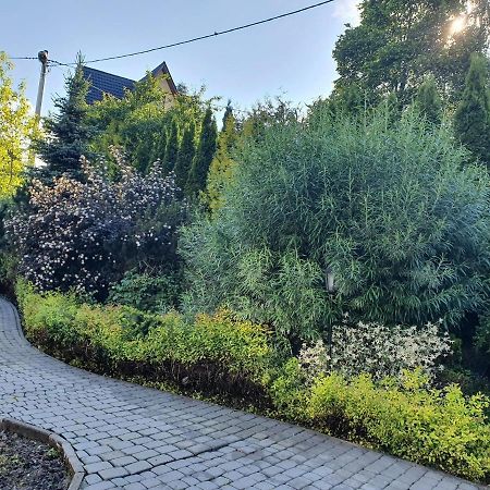 Willa Bukowina Appartamento Bukowina Tatrzańska Esterno foto