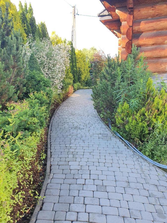 Willa Bukowina Appartamento Bukowina Tatrzańska Esterno foto